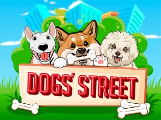 Dogs Street